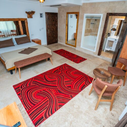 Engelsiz Suite - Görsel 9